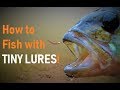 How to Fish with Tiny Lures - tackle and technique - canal perch fishing