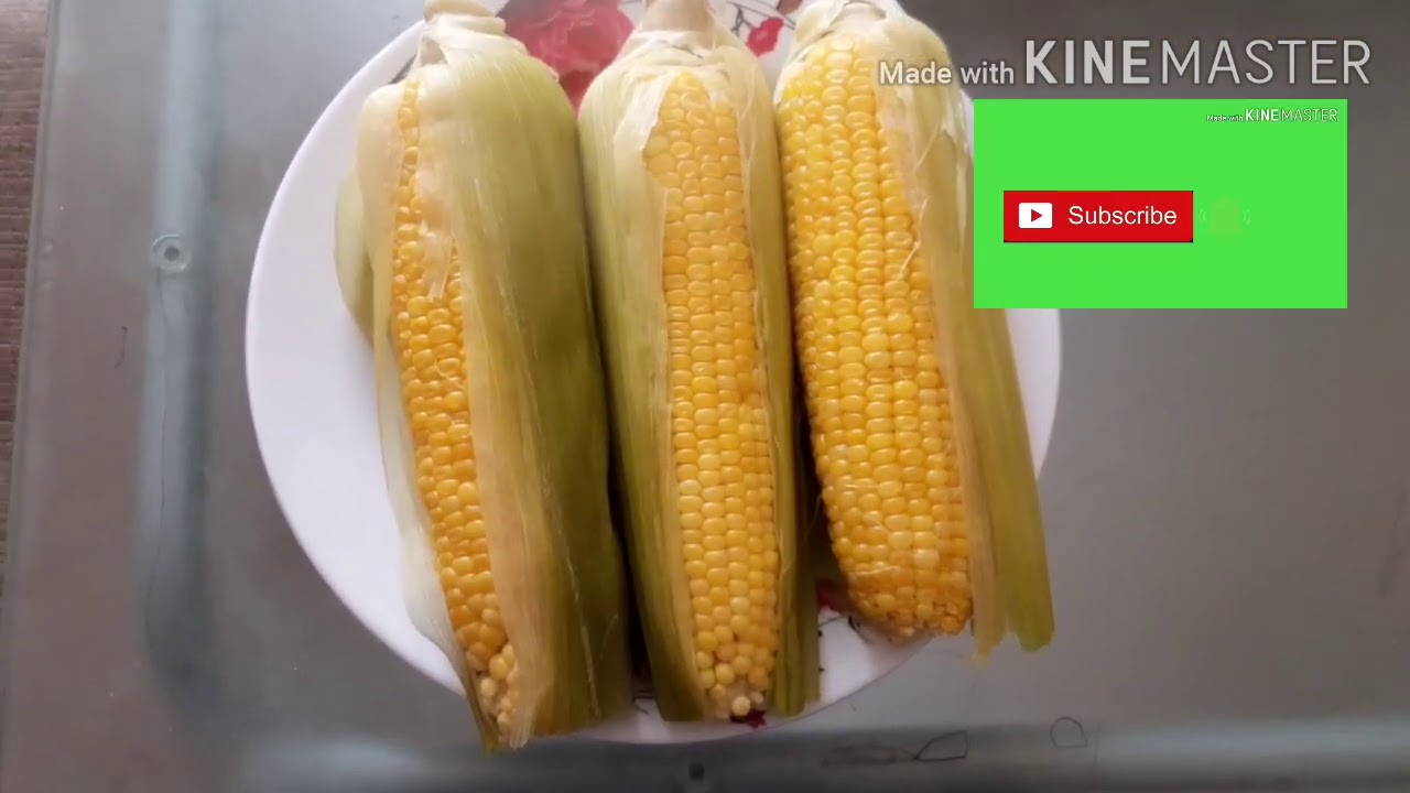 Steamed Sweet Corn YouTube