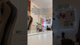 Super Oído Activadocréditos