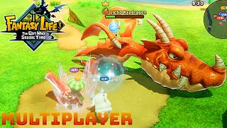 Fighting level 50 Napdragon in Multiplayer - Fantasy Life i | How to play Multiplayer tutorial screenshot 4
