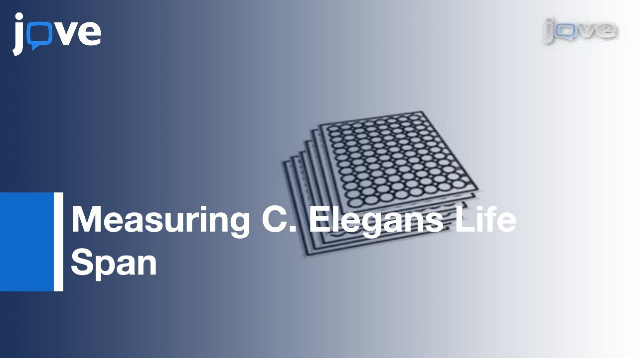 Measuring C. Elegans Life Span In 96 Well Microtiter Plates l
