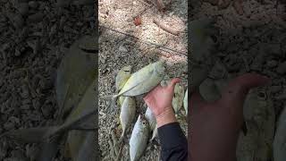 Part 16  Lhokseudu Memang Jaminan Strike  acehbesar fishinglife