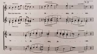 Ave Maria - Biebl - Tenor 1