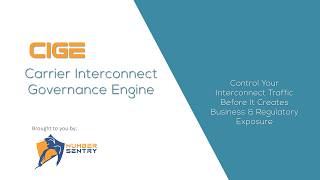 17May2026 CIGE Real Time Interconnect Governance