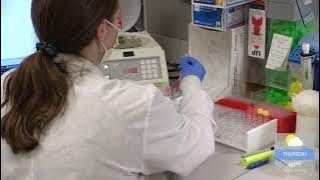 Following a Lab Sample from Collection to Diagnosis