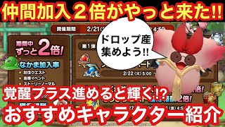 【ドラゴンクエストタクト】仲間加入率２倍が来る！覚醒プラス進めたら更に輝きそうなおすすめキャラ紹介！