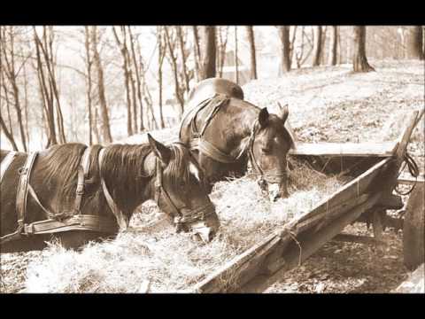 Отдых в СССР. Закарпатье 1975 год  Хуст