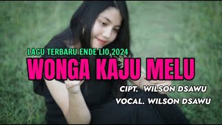 LAGU TERBARU ENDE LIO 2024 | WONGA KAJU MELU - WILSON DSAWU (OFFICIAL LYRIC VIDEO)