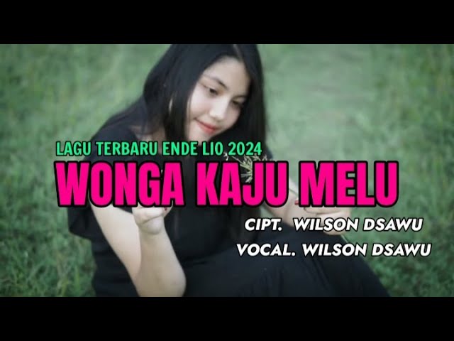 LAGU TERBARU ENDE LIO 2024 | WONGA KAJU MELU - WILSON DSAWU (OFFICIAL LYRIC VIDEO) class=