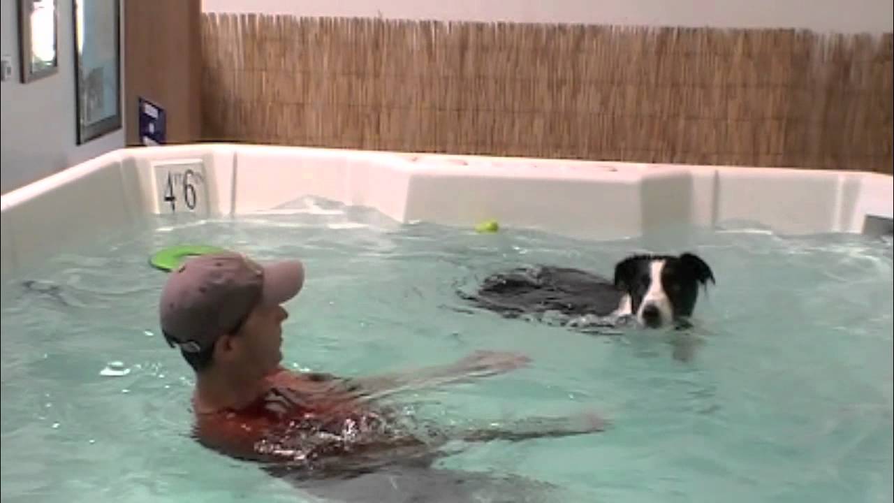 Bandit Swimming at the Indoor Pool - Summer FUN! physical education