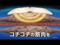 血流改善肩ホットン 「重づらい肩こり冬」篇(BF1-0011)
