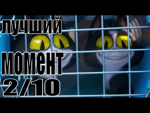 Кадр из фильма «Тайная жизнь домашних животных 2»