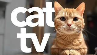 Cat TV - Petflix Video for Cats | Birds, Rodents and lots more! (Entertaining!)