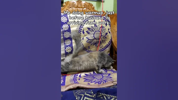Watch the video about 🥲🥲🥲 #shorts #youtubeshorts #marriage #husband #cat