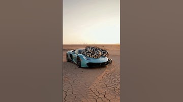 Python attacked supercar 😱 #python #snake #car #animals #nature #ai #ytshorts #ytviral #ytshort