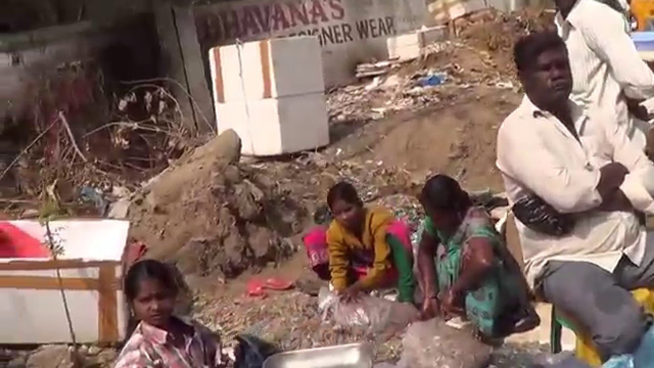 Fish/Chicken Market at JNTUHyderabadIndia27.12.2015 YouTube