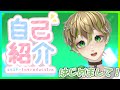【新人Vtuber】はじめまして!凪名です!【自己紹介】