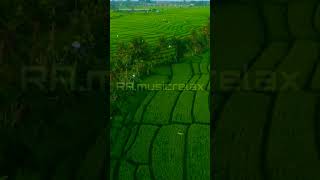 Download Lagu Creativeminds.mp3[RA.musicrelax MP3