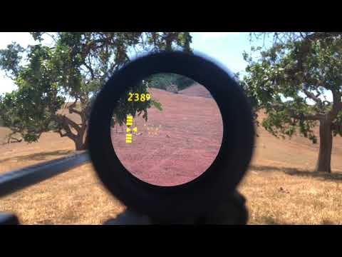 Zeroing the Mepro Foresight