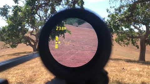 Zeroing the Mepro Foresight