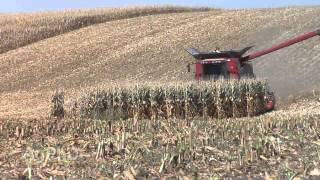 Farm Basics #878 - Grain Shrinkage (Air Date 2/1/15)