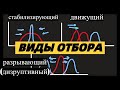 Виды естественного отбора - движущий, стабилизирующий, разрывающий (дизруптивный) ЕГЭ