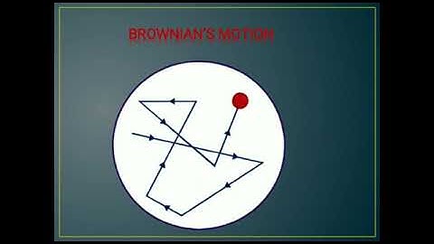 Metropolitan School Week 3 Class 6 Science Lesson