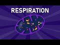 Aerobic Vs Anaerobic Respiration