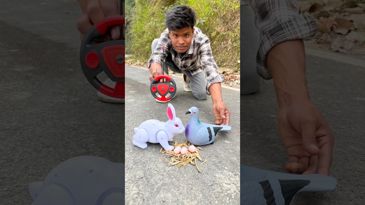 Rc pigeon vs remote control Rabbit unboxing Dese 