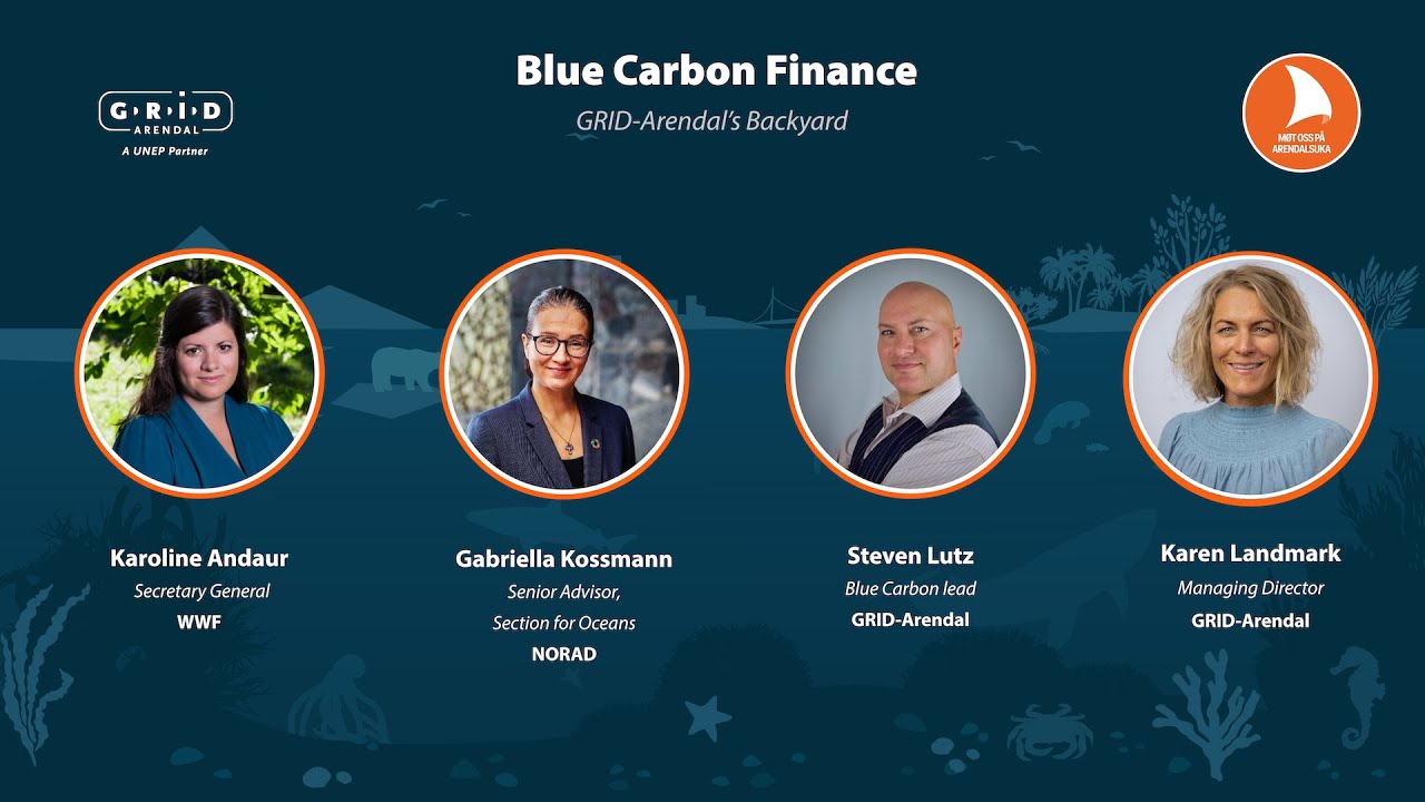 Blue Carbon Finance: Sustainable Management Unlocked?