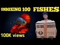 UNBOXING🤯 our new 100 bettas !