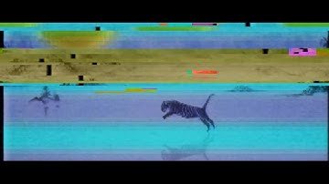 [MV] BTS - Oriental Tales (ft. (G)I-DLE ft. MAMAMOO)