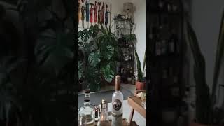 Ali Rıza Gültekin - Kara Koyun