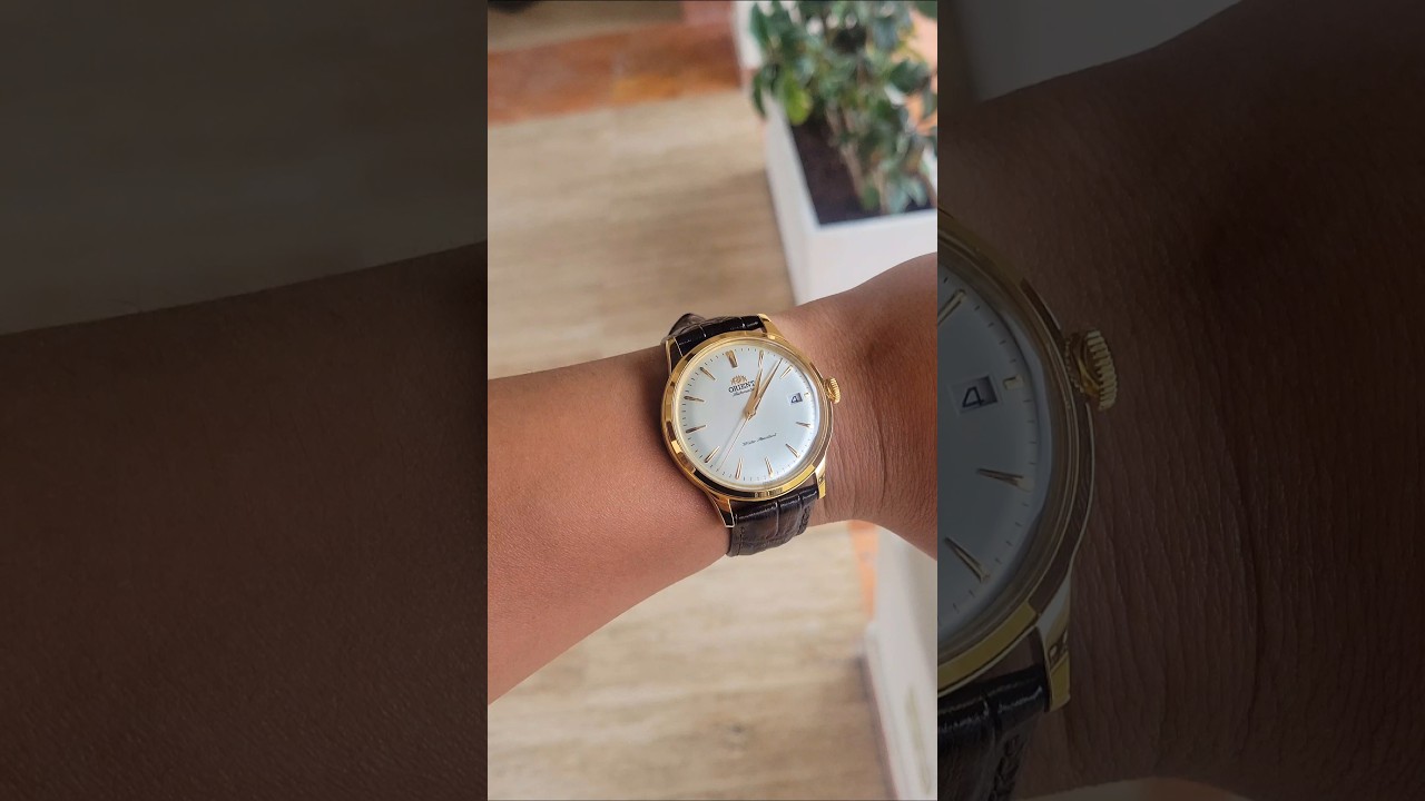 Orient Bambino 38mm. Cheap dress watch I like to travel with.