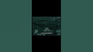 وَلَا تَكُونُوا كَالَّذِينَ نَسُوا اللَّهَ | محمد صديق المنشاوي | سورة الحشر