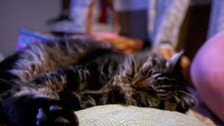 Aberrant Salience And Anxiety Disorders