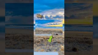 progress bar animation