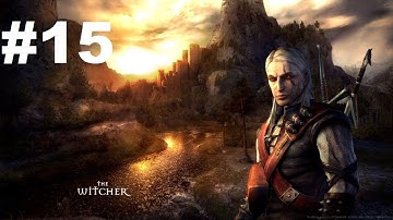 The Witcher: Enhanced Edition Director