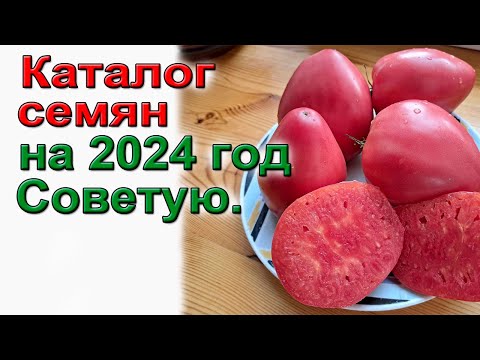 Лучшие 20 сортов томатов из 120 проверенных. Каталог на 2024г