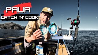 Paua (abalone) Catch 'n' cook | Cook Strait in the Frewza F14