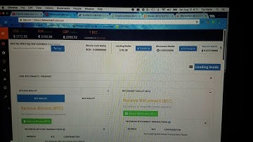 Watch this before lending on BitConnect!