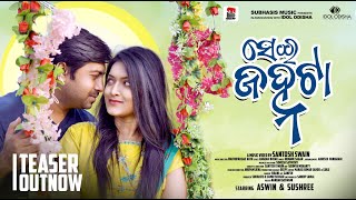 Sei Janha Ta - Aswin & Sushree - Humane Sagar & Arpita Choudhury - Teaser Video - Santosh Swain