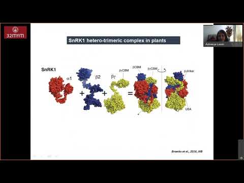 The Fcs-like Zinc