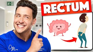 Doctors Pick Their Favorite Organ