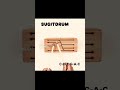 杉の音が優しい手作りドラム スギットドラム 240 | CDEGAC #スリットドラム #木の音labKIWAMI #tonguedrum #Shorts