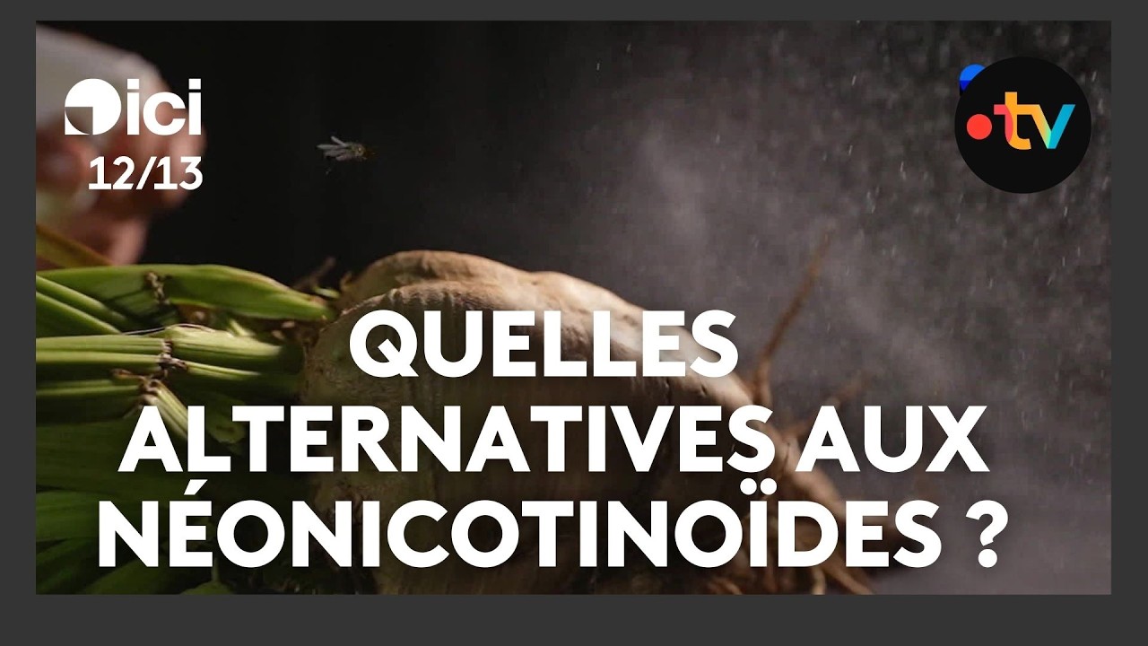 Quelles alternatives aux néonicotinoïdes ?