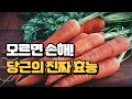 당근의 놀라운 효능 I 당뇨, 고혈압 예방하기 I 건강한 음식