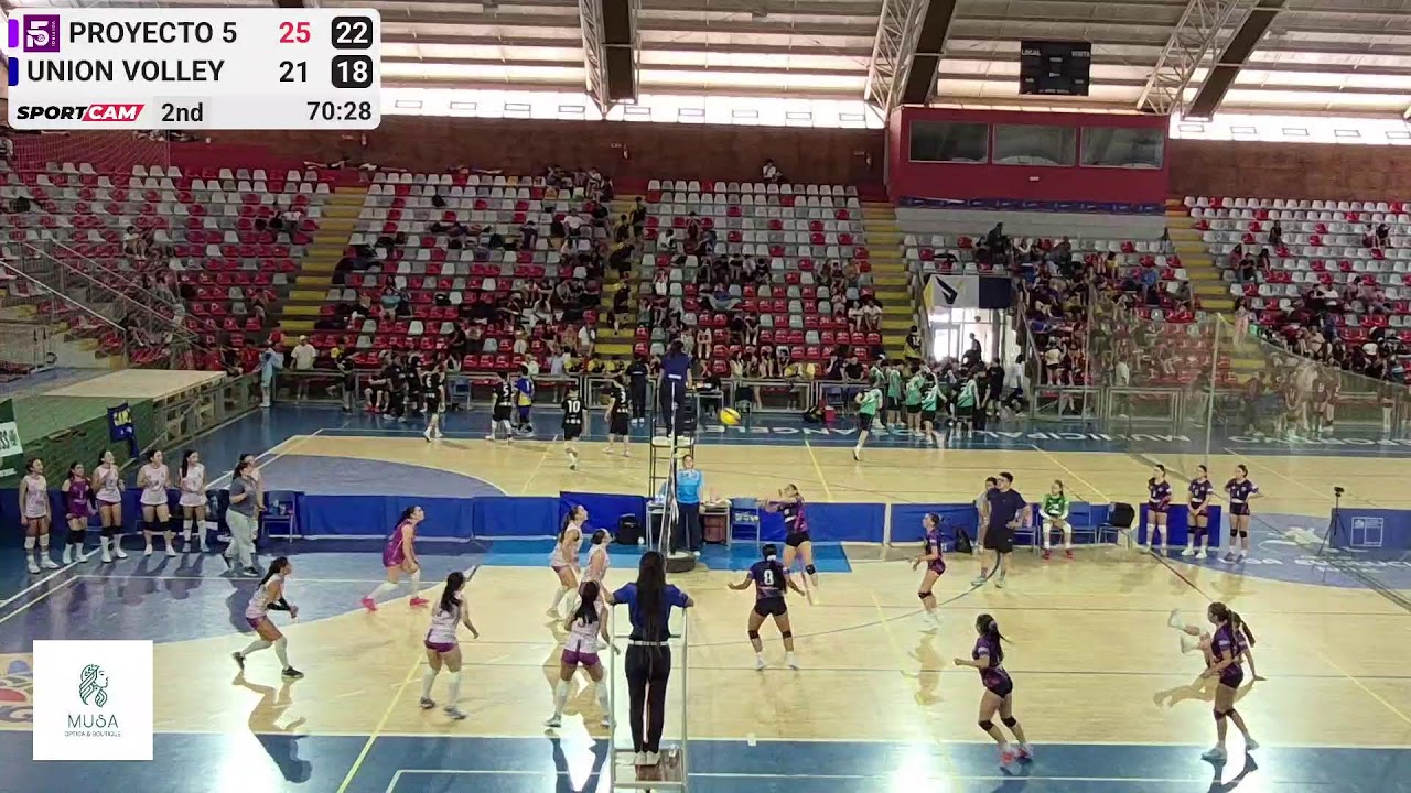 Proyecto5 VS Union Volley | Sub16 | 15-01-2026 | Copa LAV Internacional