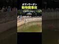 オランウータン動物園事故とヒーロー登場!