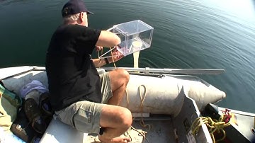 Brooktrout Lake Plankton Sampling
